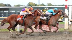 2026 Pennsylvania Derby, The Puma, Further Ado, Cotillion Stakes, Parx Racing